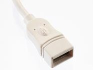 USB2.0 Socket type A with white overmould 